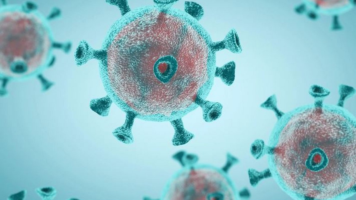 Descubren una proteína que ayuda a la propagación del coronavirus