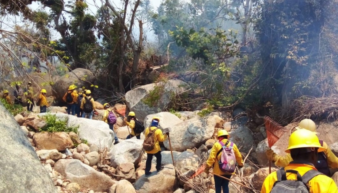 Llega Misión Eco para el combate de incendios forestales en Acapulco