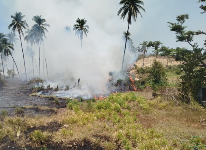 Se han atendido 323 incendios forestales en la ciudad