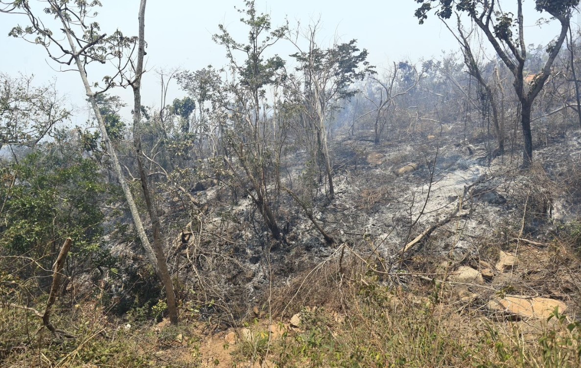 Hay control del 90 por ciento en el incendio de Carabalí y un 65 por ciento en el siniestro de la colonia María de la O de Acapulco