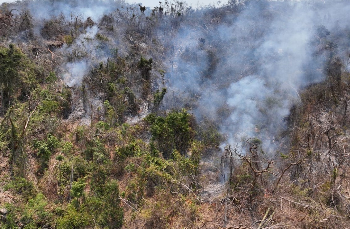 Se registran 4 incendios activos en la ciudad; atiende personal de Bomberos