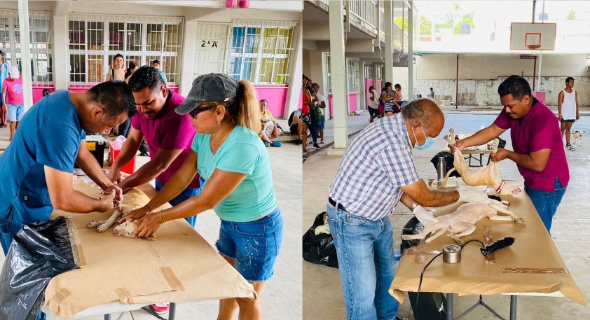 Implementan jornada de esterilización en La Zapata y Xaltianguis