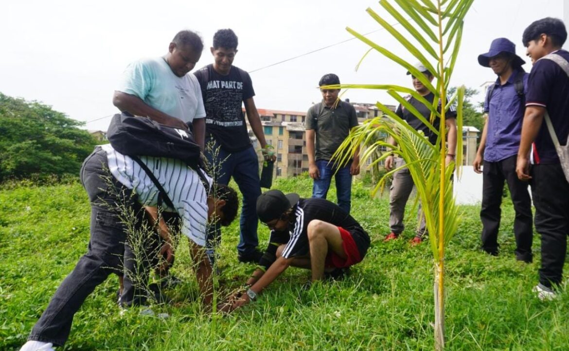 Reforesta Tecnológico de Acapulco 13 hectáreas con más de mil árboles