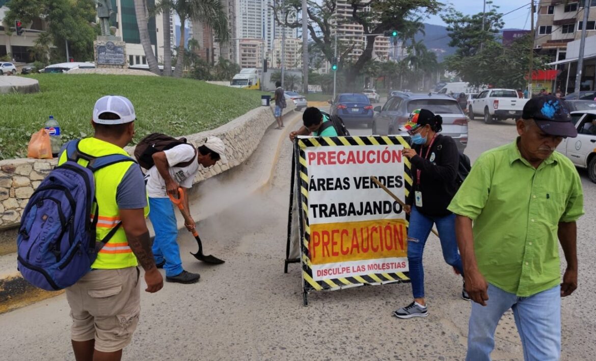 Embellecen áreas verdes en Acapulco previo a temporada vacacional decembrina