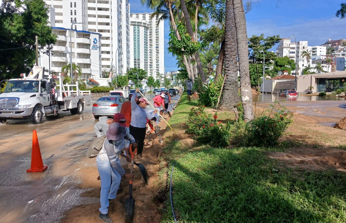 Realizan limpieza y poda en camellones de Acapulco