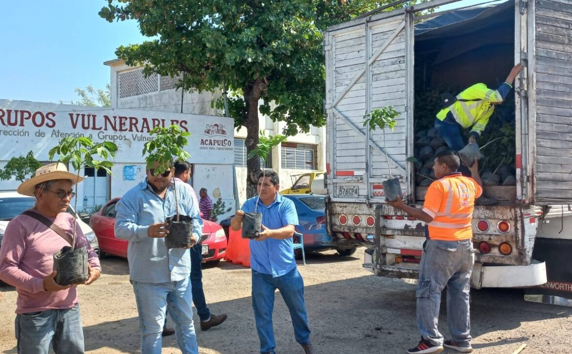 Reciben 5 mil árboles para la reforestación de Acapulco