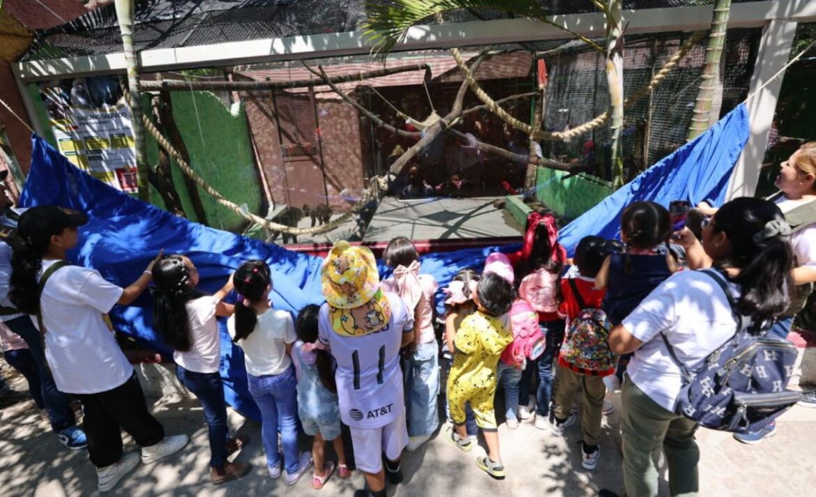 ¡Zoochilpan tiene nuevos habitantes!